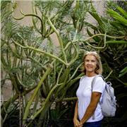 Clases de dibujo artístico, técnico, diseño, historia del arte o cualquier asignatura de la modalidad de Bachillerato artístico